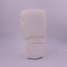 Chosen Defender Skintex Boxing Gloves-total white