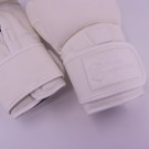 Chosen Defender Skintex Boxing Gloves-total white