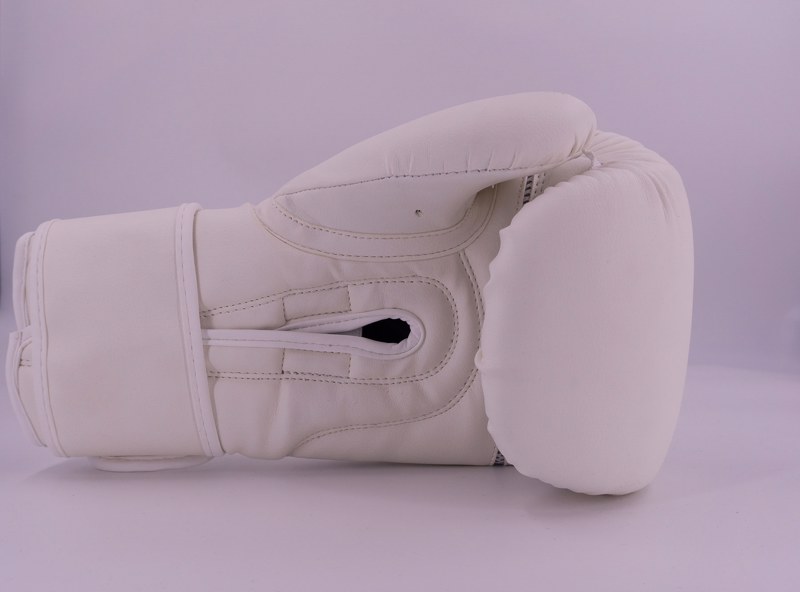 Chosen Defender Skintex Boxing Gloves-total white