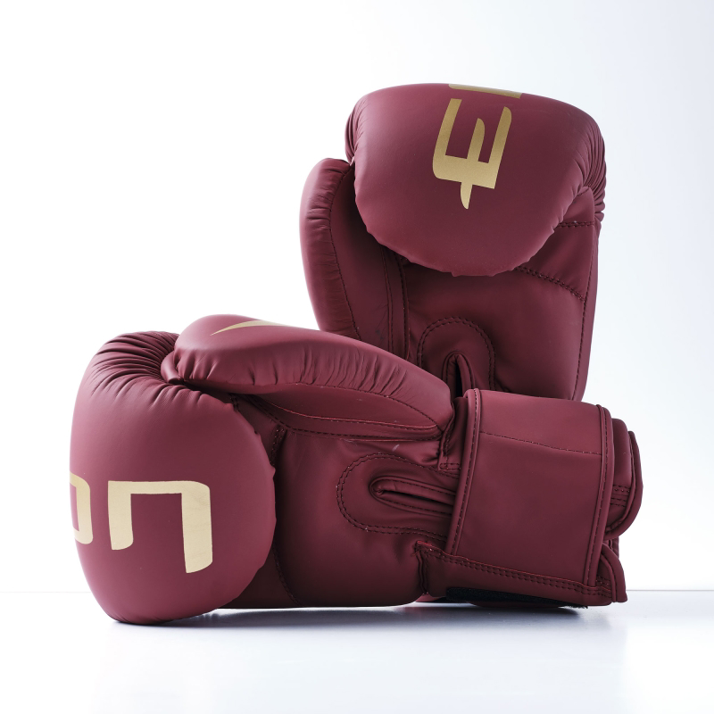 Elion Paris EXTRA VAGANT Boxing Gloves - bordeaux
