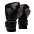 EVERLAST GNTIA PuGAXIAS powerlock 2- black