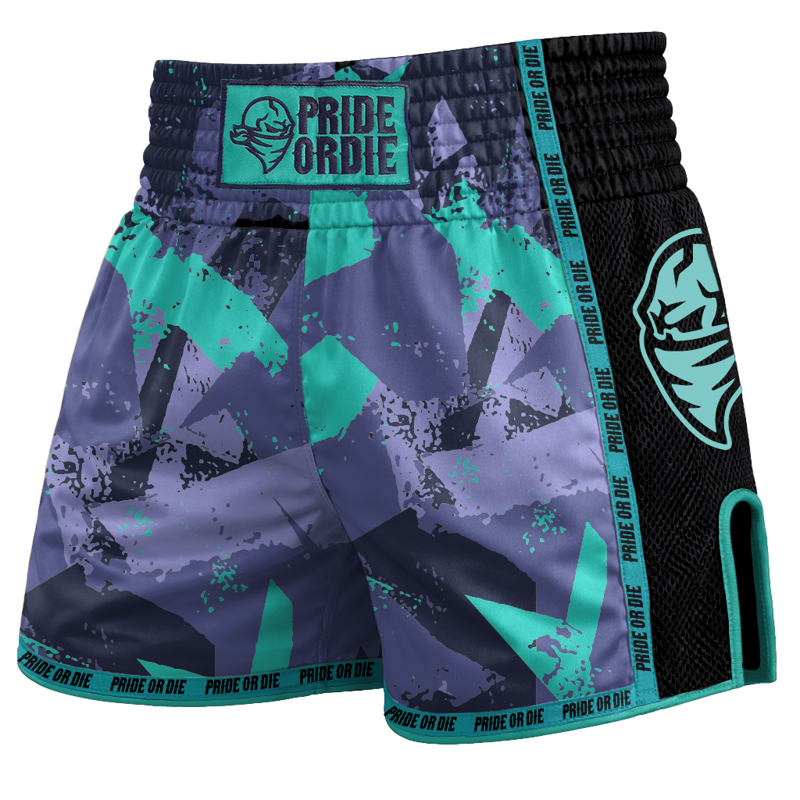 Pride Or Die reckless v2 Thai shorts - grey