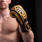 Phantom Boxing Gloves Apex speed-  gold