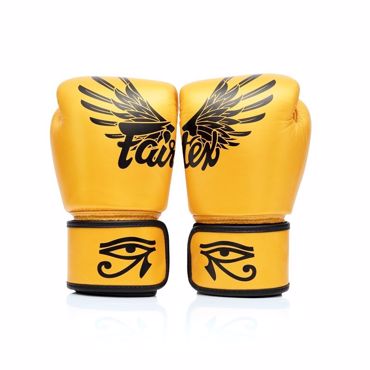 FAIRTEX GLOVES MUAY THAI ''falcon'' 