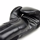 Fairtex BGV14 Microfiber muay thai Gloves-Solid Black