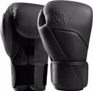 Hayabusa E1 Leather Boxing Gloves-onyx black