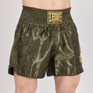 Leone BASIC 2 KICK SHORTS -green