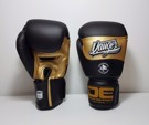 Danger Evolution MUAY THAI Gloves-Black/Gold/Black