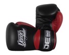 Danger Rocket Boxing Gloves-Black/REd