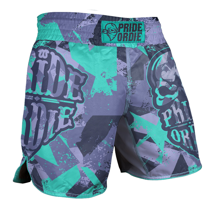 Pride Or Die reckless v2 MMA Shorts - grey